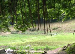 遣いきらないで、分ちあう☆