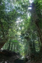 あなたの器はすでに愛でみたされている〜今の自分にちょうどいい現実☆