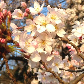 自然のリズムと完全に調和したとき、すべてが奇跡になる