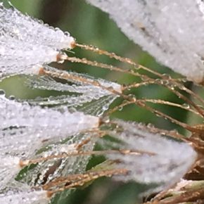 運命は変えられるか